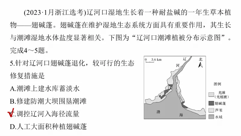 2025年高考地理二轮复习课件通用版专题5　主题6　植被演替_9.2025地理总复习_2025年新高考资料_二轮复习_2025年高考地理二轮复习课件全国通用（ppt+pdf资源）