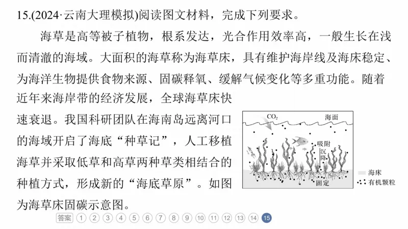 2025年高考地理二轮复习课件通用版专题5　主题6　植被演替_9.2025地理总复习_2025年新高考资料_二轮复习_2025年高考地理二轮复习课件全国通用（ppt+pdf资源）