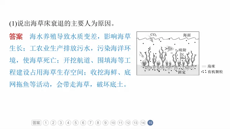 2025年高考地理二轮复习课件通用版专题5　主题6　植被演替_9.2025地理总复习_2025年新高考资料_二轮复习_2025年高考地理二轮复习课件全国通用（ppt+pdf资源）
