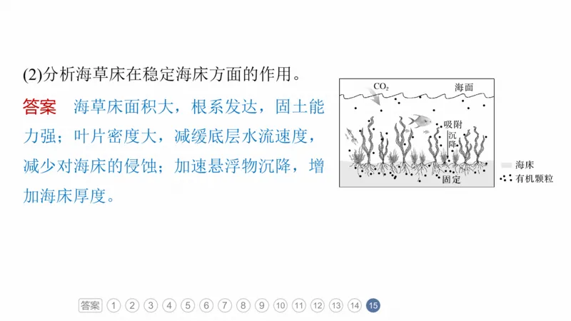 2025年高考地理二轮复习课件通用版专题5　主题6　植被演替_9.2025地理总复习_2025年新高考资料_二轮复习_2025年高考地理二轮复习课件全国通用（ppt+pdf资源）