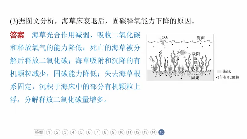 2025年高考地理二轮复习课件通用版专题5　主题6　植被演替_9.2025地理总复习_2025年新高考资料_二轮复习_2025年高考地理二轮复习课件全国通用（ppt+pdf资源）