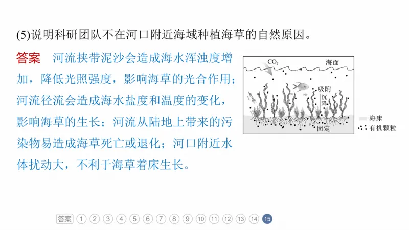 2025年高考地理二轮复习课件通用版专题5　主题6　植被演替_9.2025地理总复习_2025年新高考资料_二轮复习_2025年高考地理二轮复习课件全国通用（ppt+pdf资源）