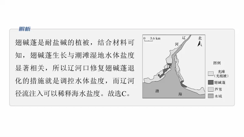 2025年高考地理二轮复习课件通用版专题5　主题6　植被演替_9.2025地理总复习_2025年新高考资料_二轮复习_2025年高考地理二轮复习课件全国通用（ppt+pdf资源）