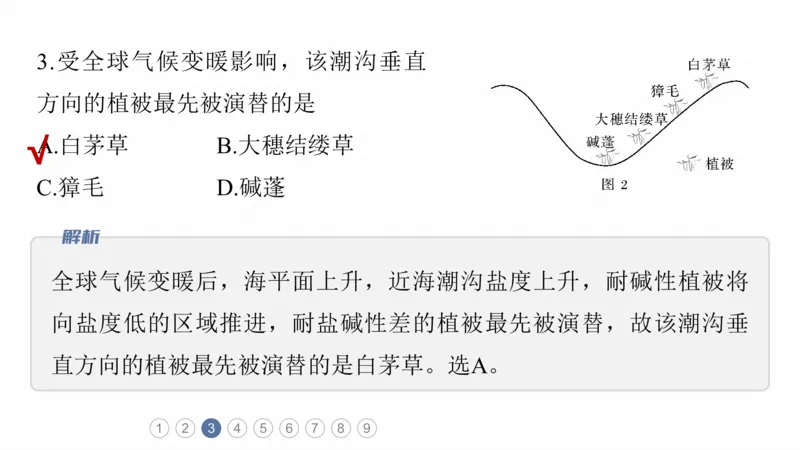 2025年高考地理二轮复习课件通用版专题5　主题6　植被演替_9.2025地理总复习_2025年新高考资料_二轮复习_2025年高考地理二轮复习课件全国通用（ppt+pdf资源）