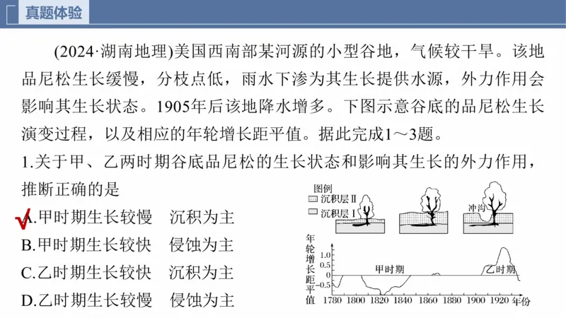 2025年高考地理二轮复习课件通用版专题5　主题6　植被演替_9.2025地理总复习_2025年新高考资料_二轮复习_2025年高考地理二轮复习课件全国通用（ppt+pdf资源）