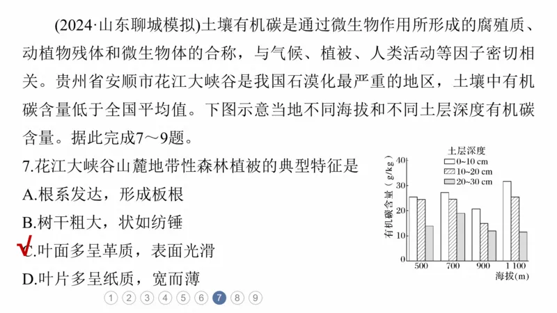 2025年高考地理二轮复习课件通用版专题5　主题6　植被演替_9.2025地理总复习_2025年新高考资料_二轮复习_2025年高考地理二轮复习课件全国通用（ppt+pdf资源）