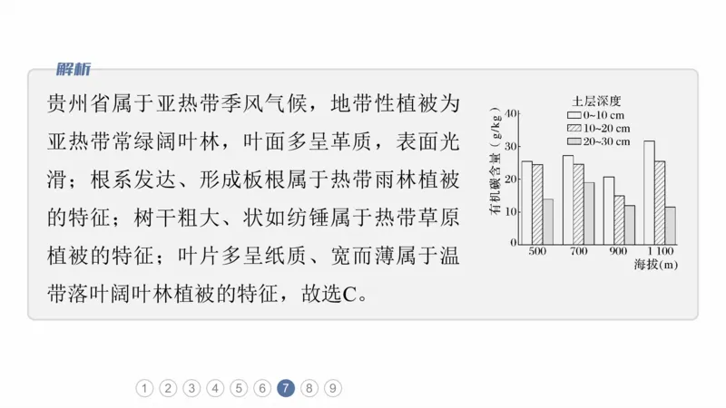 2025年高考地理二轮复习课件通用版专题5　主题6　植被演替_9.2025地理总复习_2025年新高考资料_二轮复习_2025年高考地理二轮复习课件全国通用（ppt+pdf资源）