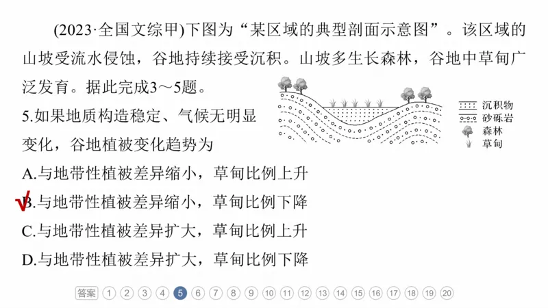 2025年高考地理二轮复习课件通用版专题5　主题6　植被演替_9.2025地理总复习_2025年新高考资料_二轮复习_2025年高考地理二轮复习课件全国通用（ppt+pdf资源）