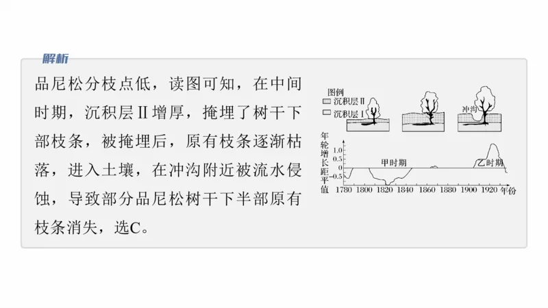 2025年高考地理二轮复习课件通用版专题5　主题6　植被演替_9.2025地理总复习_2025年新高考资料_二轮复习_2025年高考地理二轮复习课件全国通用（ppt+pdf资源）