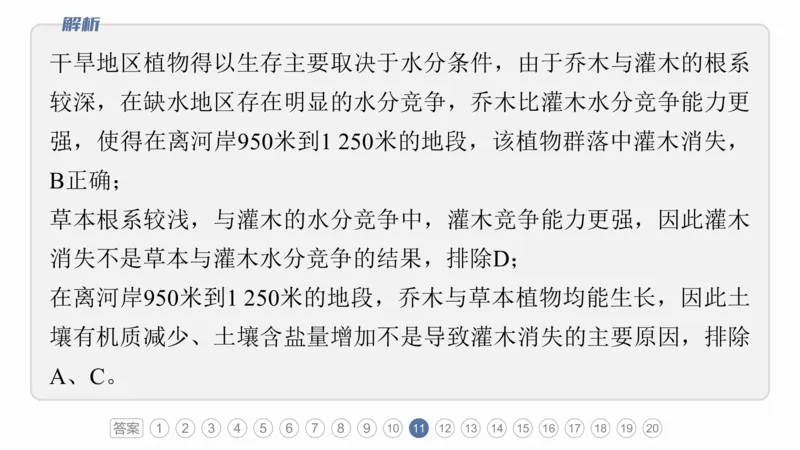 2025年高考地理二轮复习课件通用版专题5　主题6　植被演替_9.2025地理总复习_2025年新高考资料_二轮复习_2025年高考地理二轮复习课件全国通用（ppt+pdf资源）