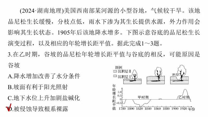 2025年高考地理二轮复习课件通用版专题5　主题6　植被演替_9.2025地理总复习_2025年新高考资料_二轮复习_2025年高考地理二轮复习课件全国通用（ppt+pdf资源）