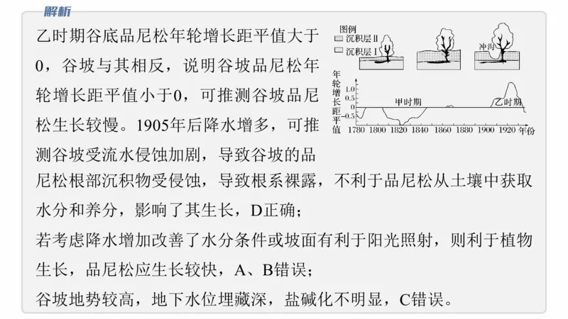 2025年高考地理二轮复习课件通用版专题5　主题6　植被演替_9.2025地理总复习_2025年新高考资料_二轮复习_2025年高考地理二轮复习课件全国通用（ppt+pdf资源）