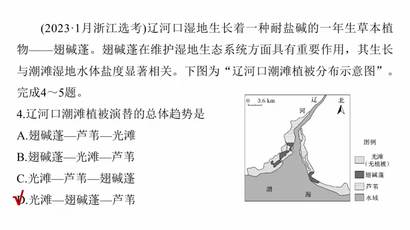 2025年高考地理二轮复习课件通用版专题5　主题6　植被演替_9.2025地理总复习_2025年新高考资料_二轮复习_2025年高考地理二轮复习课件全国通用（ppt+pdf资源）