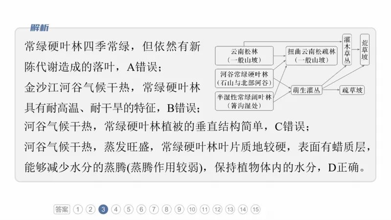 2025年高考地理二轮复习课件通用版专题5　主题6　植被演替_9.2025地理总复习_2025年新高考资料_二轮复习_2025年高考地理二轮复习课件全国通用（ppt+pdf资源）