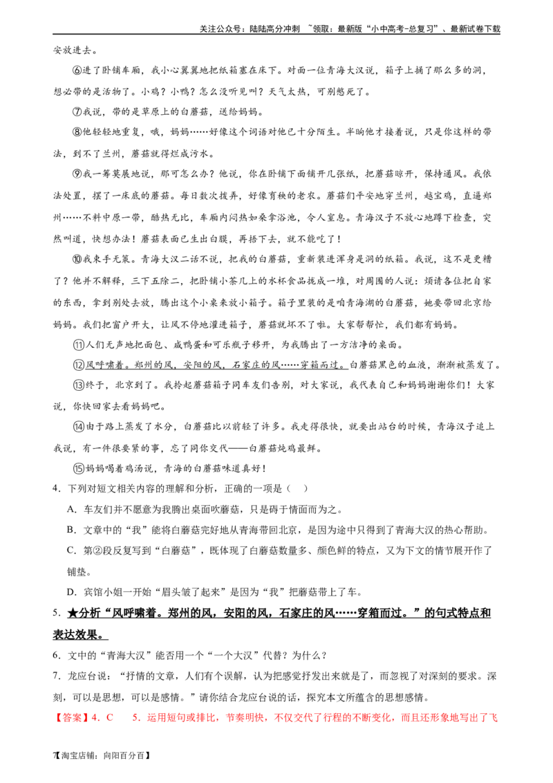 第28讲赏析语言特点（练习）-2024年中考语文一轮复习讲练测（全国通用）（解析版）_02中考总复习（2026版更新中）_01-语文-中考总复习_2024年中考资料_一轮复习_2024一轮复习课件+讲义+练习