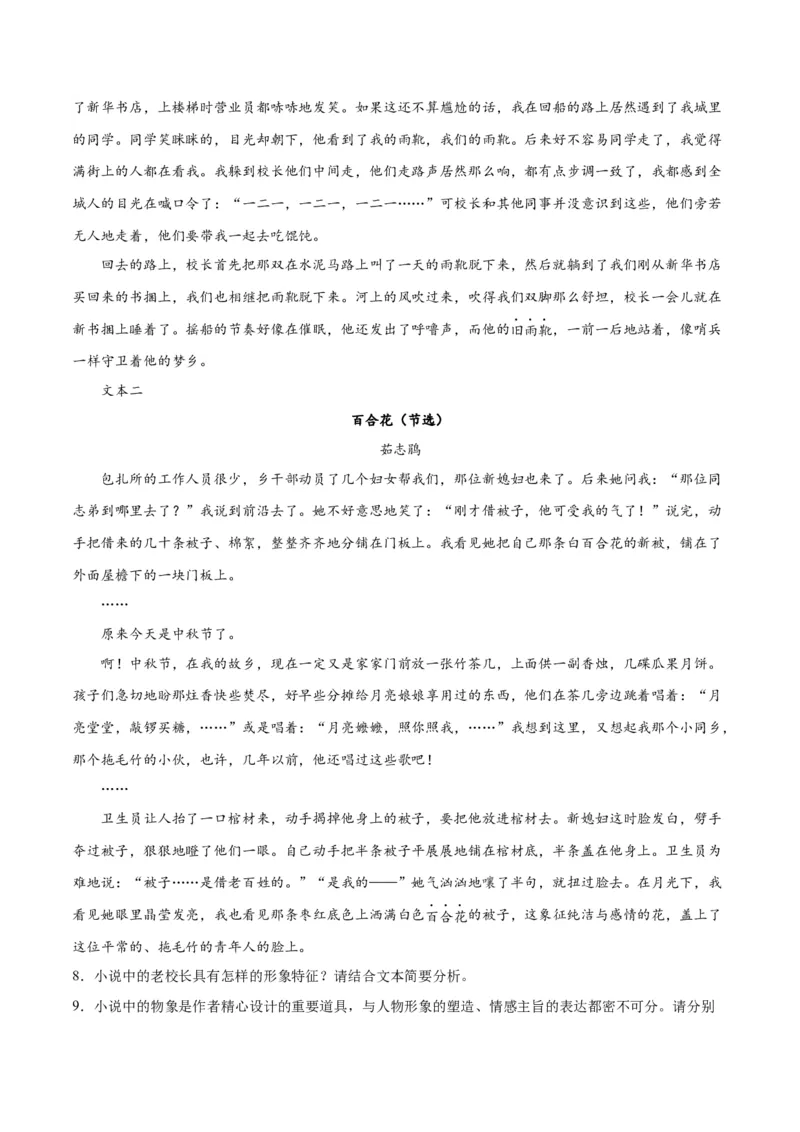 专题08小说形象的理解与分析（练习）-2024年高考语文二轮复习讲练测（新教材新高考）（解析版）(1)_1.2025语文总复习_2024年新高考资料_2.2024二轮复习