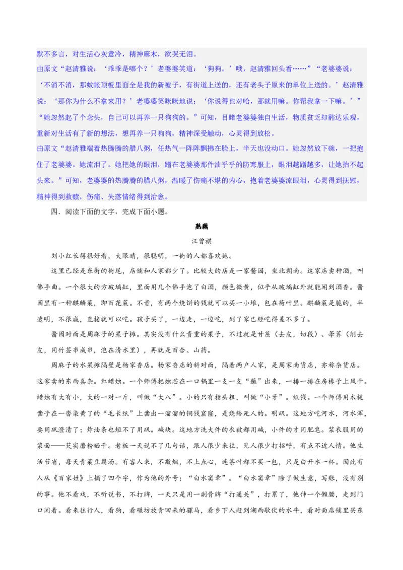 专题08小说形象的理解与分析（练习）-2024年高考语文二轮复习讲练测（新教材新高考）（解析版）(1)_1.2025语文总复习_2024年新高考资料_2.2024二轮复习