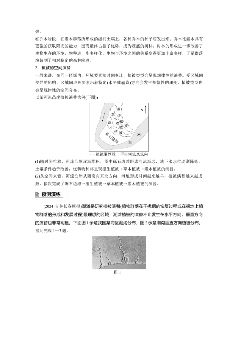 2025年高考地理二轮复习配套讲义通用版专题5　主题6　植被演替_9.2025地理总复习_2025年新高考资料_二轮复习_2025年高考地理二轮复习配套讲义通用版（解析版）