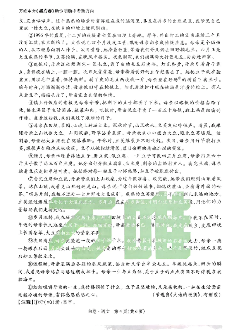 白卷-语文-A4_初中资料合集_2025《万唯中考&bull;黑白卷》多地方版（更30省）_2025《万唯中考&bull;黑白卷》7科全套（广西）