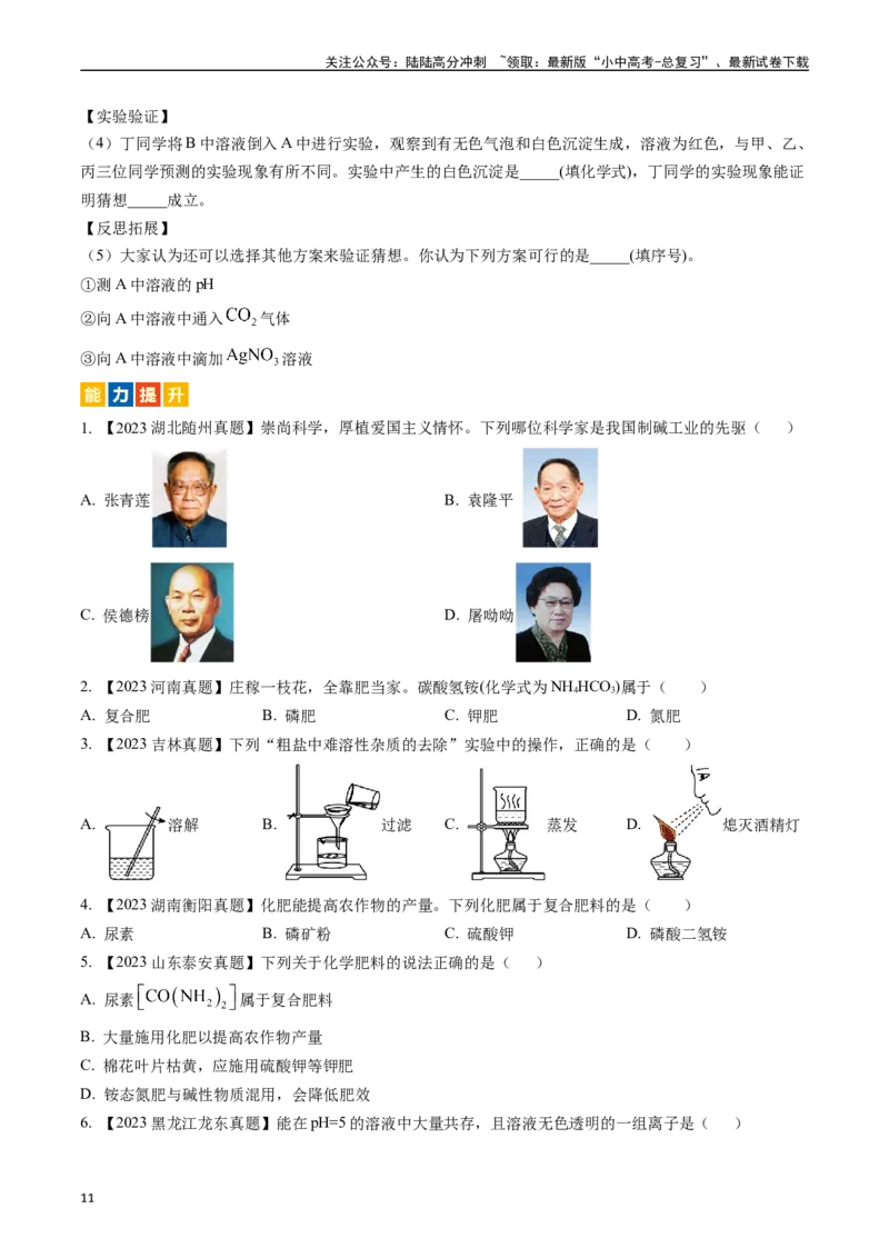 第十一单元盐化肥（讲义）-备战2024年中考化学一轮复习考点帮（人教版）（原卷版）_02中考总复习（2026版更新中）_05-化学-中考总复习_2024年中考复习资料_一轮复习资料_考点过关讲义