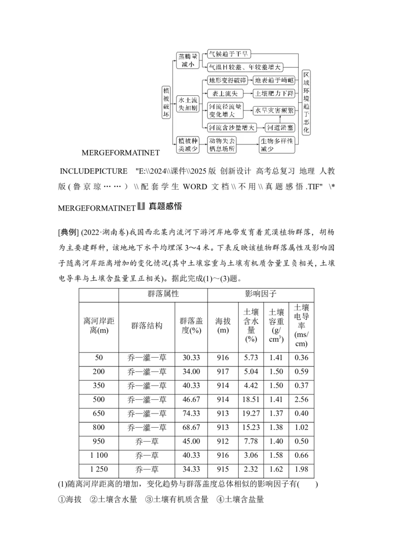 2025届高中地理一轮复习讲义：第一部分自然地理第八单元自然环境的整体性与差异性第38课时　植被（学生版）_9.2025地理总复习_2025年新高考资料_一轮复习
