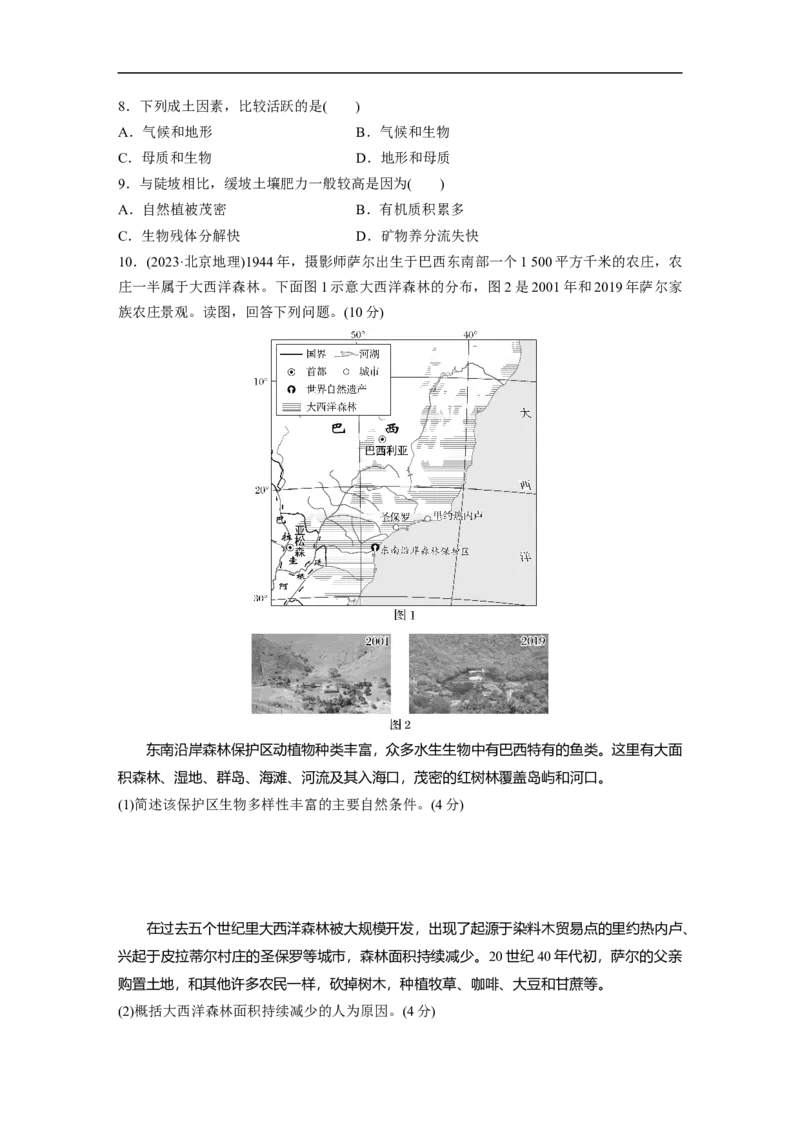 专题5　主题5　土壤发育_9.2025地理总复习_2025年新高考资料_二轮复习_2025年高考地理二轮复习讲义+专题强化练（学生版）_专题强化练
