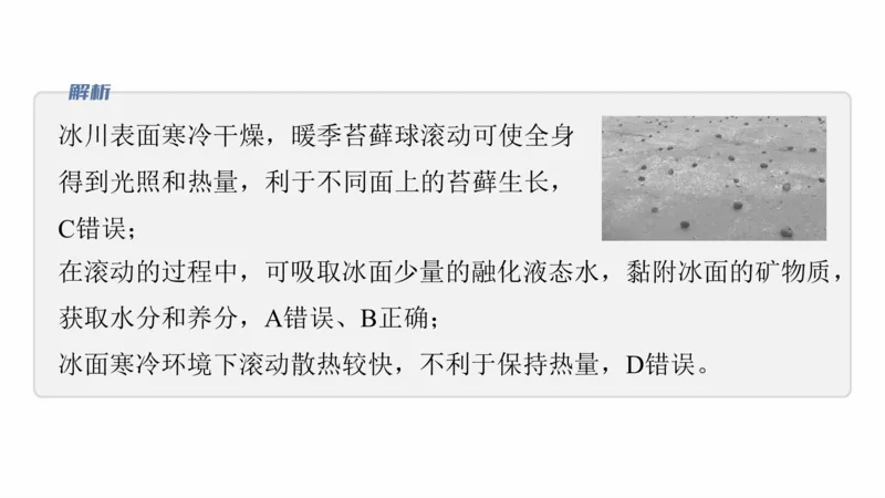 2025年高考地理二轮复习课件通用版素养1　专题1　主题1　区域整体性_9.2025地理总复习_2025年新高考资料_二轮复习_2025年高考地理二轮复习课件全国通用（ppt+pdf资源）