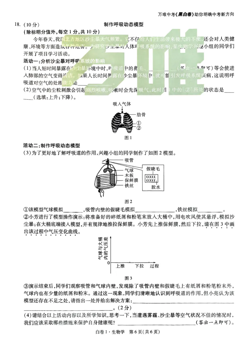 2025《万唯中考&bull;山西黑白卷》生物白卷1_初中资料合集_2025《万唯中考&bull;黑白卷》多地方版（更30省）_2025《万唯中考&bull;山西黑白卷》7科
