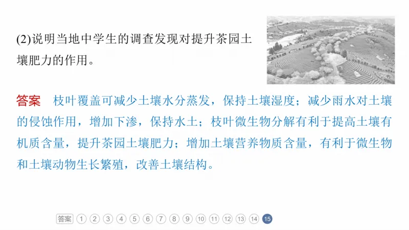 2025年高考地理二轮复习课件通用版专题5　主题5　土壤发育_9.2025地理总复习_2025年新高考资料_二轮复习_2025年高考地理二轮复习课件全国通用（ppt+pdf资源）