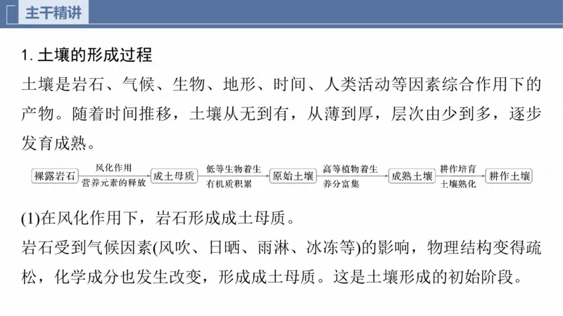 2025年高考地理二轮复习课件通用版专题5　主题5　土壤发育_9.2025地理总复习_2025年新高考资料_二轮复习_2025年高考地理二轮复习课件全国通用（ppt+pdf资源）