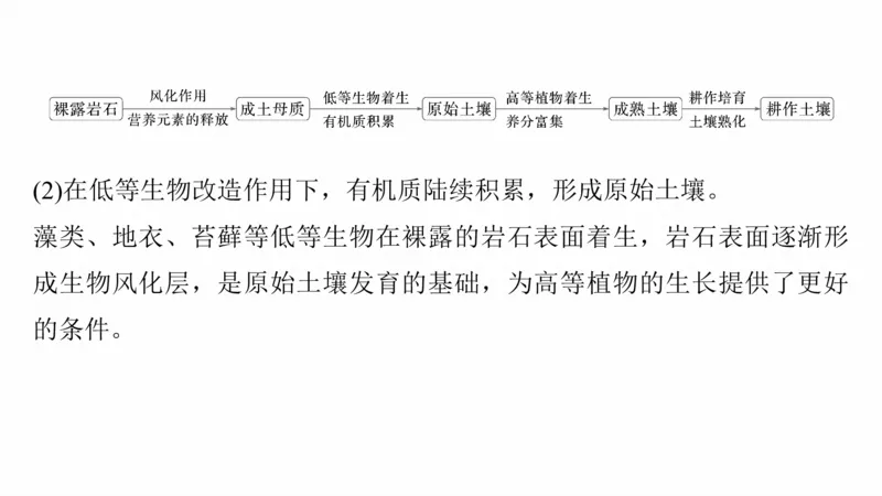 2025年高考地理二轮复习课件通用版专题5　主题5　土壤发育_9.2025地理总复习_2025年新高考资料_二轮复习_2025年高考地理二轮复习课件全国通用（ppt+pdf资源）