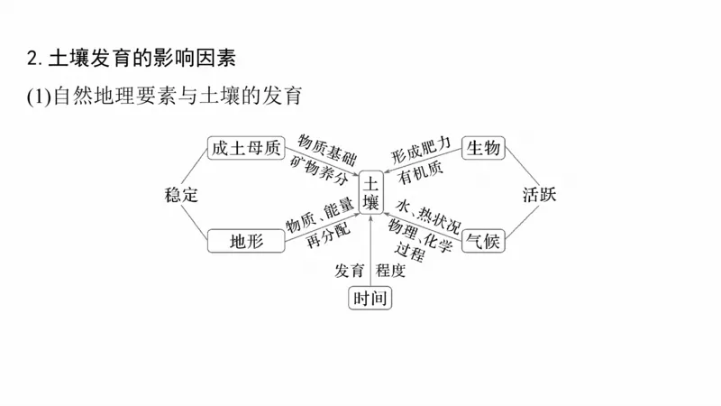 2025年高考地理二轮复习课件通用版专题5　主题5　土壤发育_9.2025地理总复习_2025年新高考资料_二轮复习_2025年高考地理二轮复习课件全国通用（ppt+pdf资源）