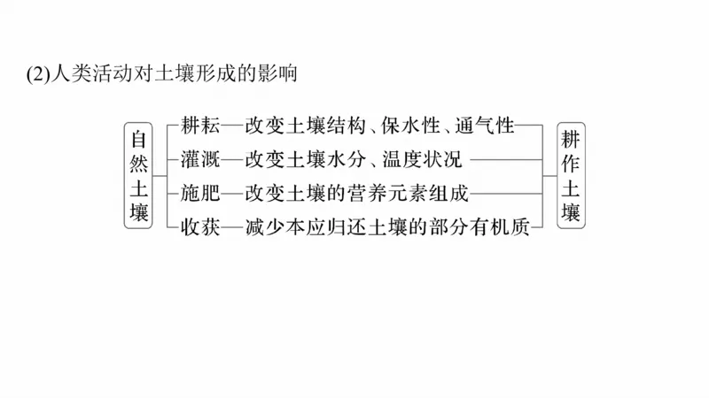 2025年高考地理二轮复习课件通用版专题5　主题5　土壤发育_9.2025地理总复习_2025年新高考资料_二轮复习_2025年高考地理二轮复习课件全国通用（ppt+pdf资源）