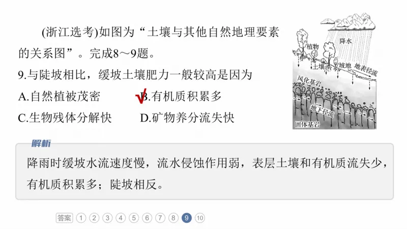 2025年高考地理二轮复习课件通用版专题5　主题5　土壤发育_9.2025地理总复习_2025年新高考资料_二轮复习_2025年高考地理二轮复习课件全国通用（ppt+pdf资源）
