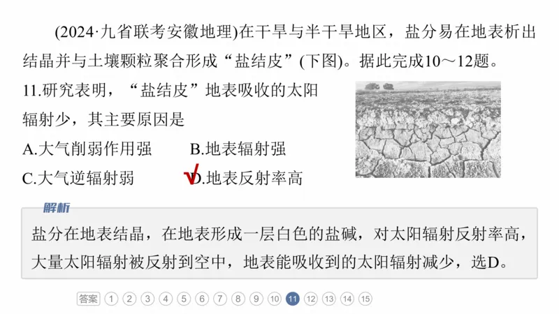 2025年高考地理二轮复习课件通用版专题5　主题5　土壤发育_9.2025地理总复习_2025年新高考资料_二轮复习_2025年高考地理二轮复习课件全国通用（ppt+pdf资源）