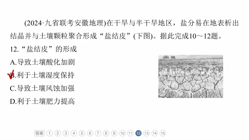 2025年高考地理二轮复习课件通用版专题5　主题5　土壤发育_9.2025地理总复习_2025年新高考资料_二轮复习_2025年高考地理二轮复习课件全国通用（ppt+pdf资源）