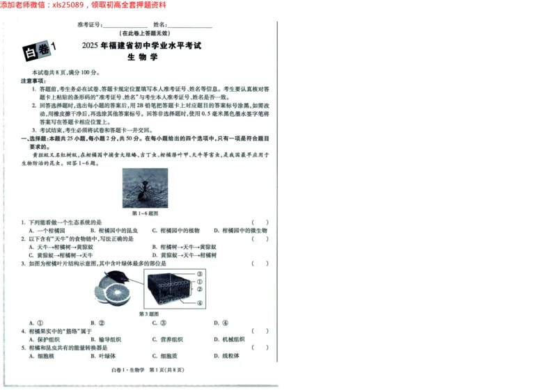 A42025版WW黑白卷生物白卷（加深）_初中资料合集_万唯2025万唯中考《黑白卷-地生》多地版本（已更12省）_2025《万唯中考&bull;黑白卷》地生（福建）_2025版《WW中考黑白卷》（FJ专版）生地