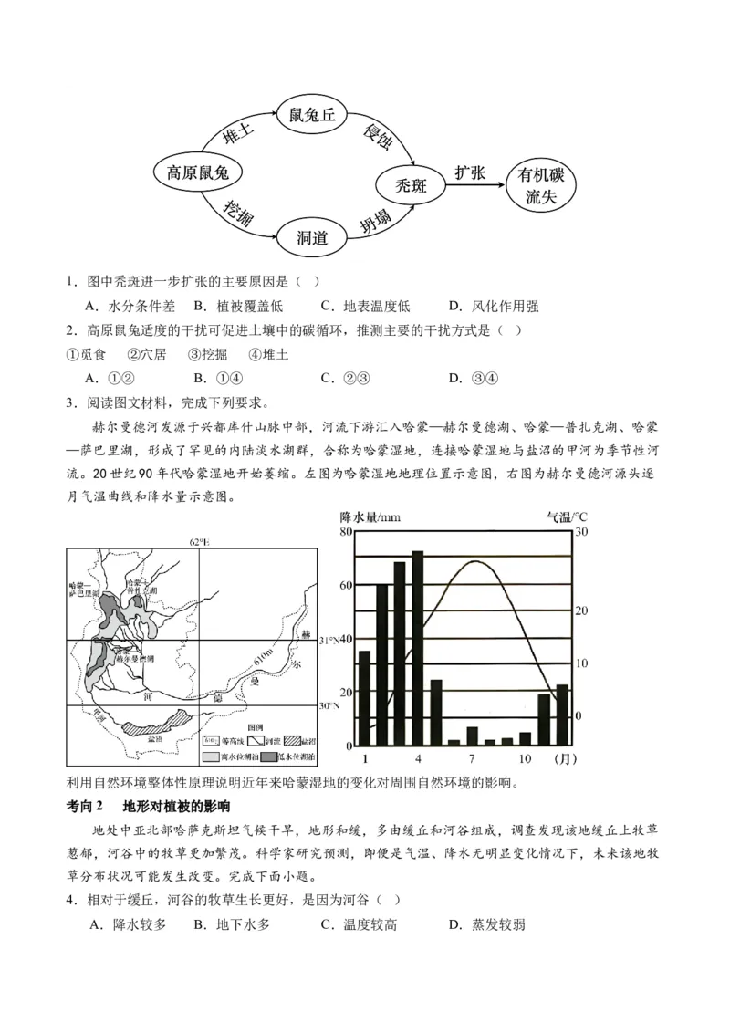 专题06自然地理环境的整体性与差异性（含生物与环境、冻土）（讲义）（原卷版）_9.2025地理总复习_2024年新高考资料_2.2024二轮复习_2024年高考地理二轮复习讲练测（新教材新高考）