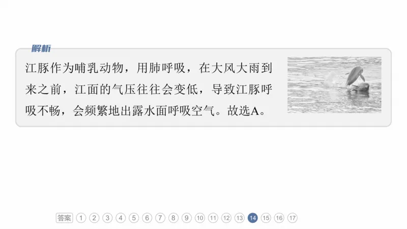2025年高考地理二轮复习课件通用版专题7　人类活动对地理环境的影响_9.2025地理总复习_2025年新高考资料_二轮复习_2025年高考地理二轮复习课件全国通用（ppt+pdf资源）