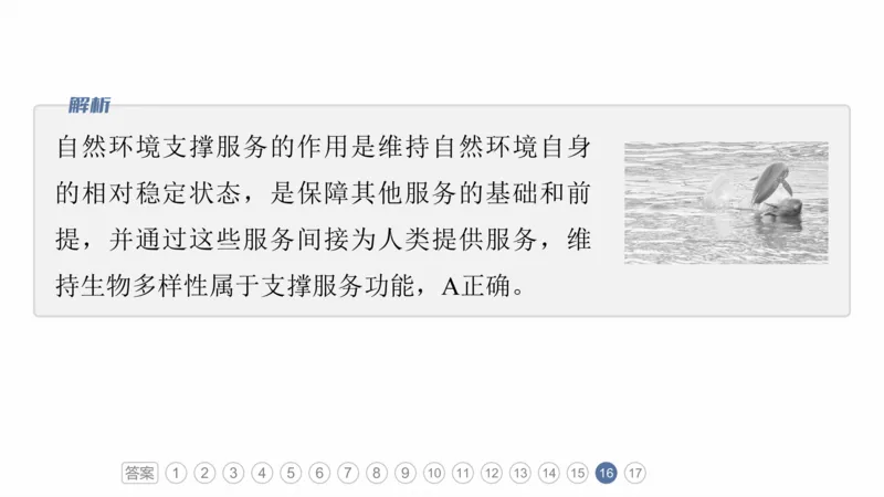 2025年高考地理二轮复习课件通用版专题7　人类活动对地理环境的影响_9.2025地理总复习_2025年新高考资料_二轮复习_2025年高考地理二轮复习课件全国通用（ppt+pdf资源）