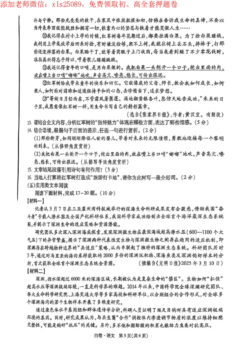 2025《万唯中考&bull;海南黑白卷》语文白卷_初中资料合集_2025《万唯中考&bull;黑白卷》多地方版（更30省）_2025《万唯中考&bull;黑白卷》7科全套（海南）