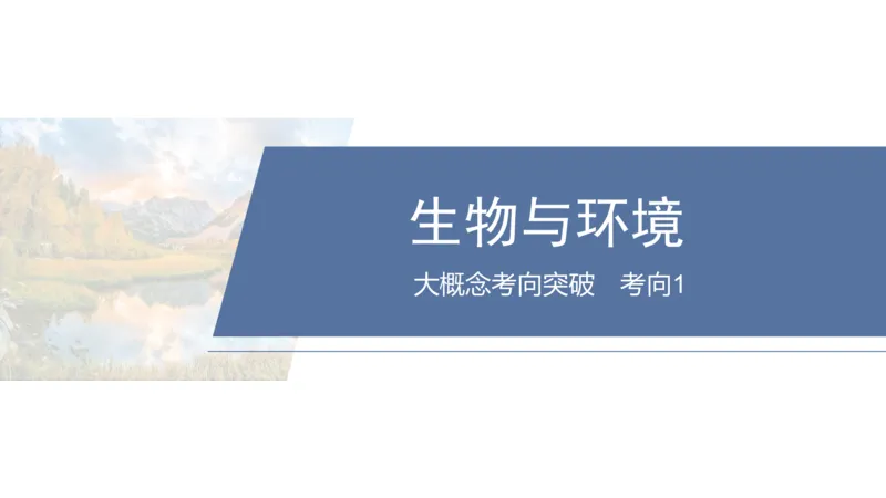 2025年高考地理二轮复习课件通用版大单元5　自然环境的整体性与差异性_9.2025地理总复习_2025年新高考资料_二轮复习_2025年高考地理二轮复习课件全国通用（ppt+pdf资源）