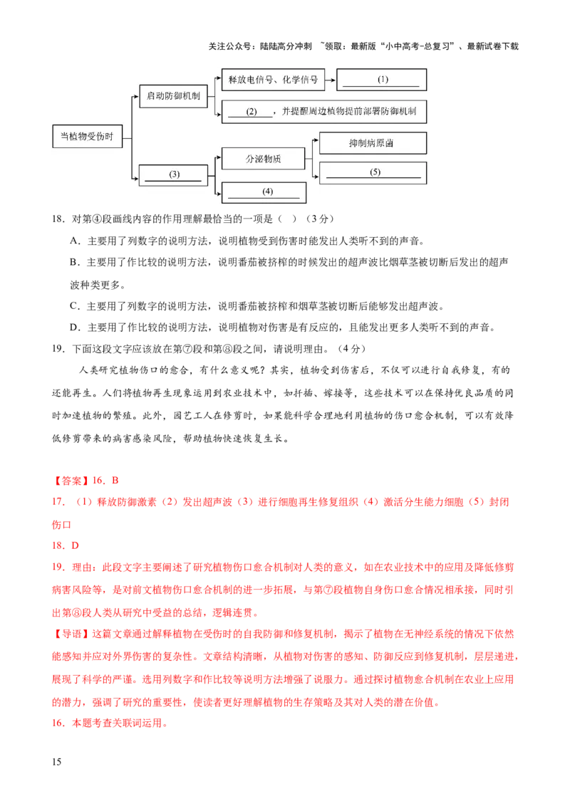 说明文综合测试卷（解析版）_02中考总复习（2026版更新中）_01-语文-中考总复习_2025年中考资料_2025中考二轮课件ppt+讲义+练习语文_测试