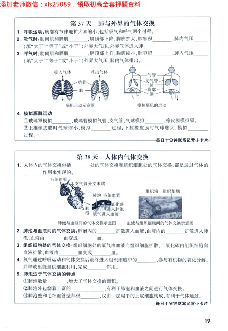 2025版《WW中考黑白卷》（FJ专版）生地预订礼-60天高频考点默写（生物学）_初中资料合集_万唯2025万唯中考《黑白卷-地生》多地版本（已更12省）_2025版《WW中考黑白卷》（FJ专版）生地