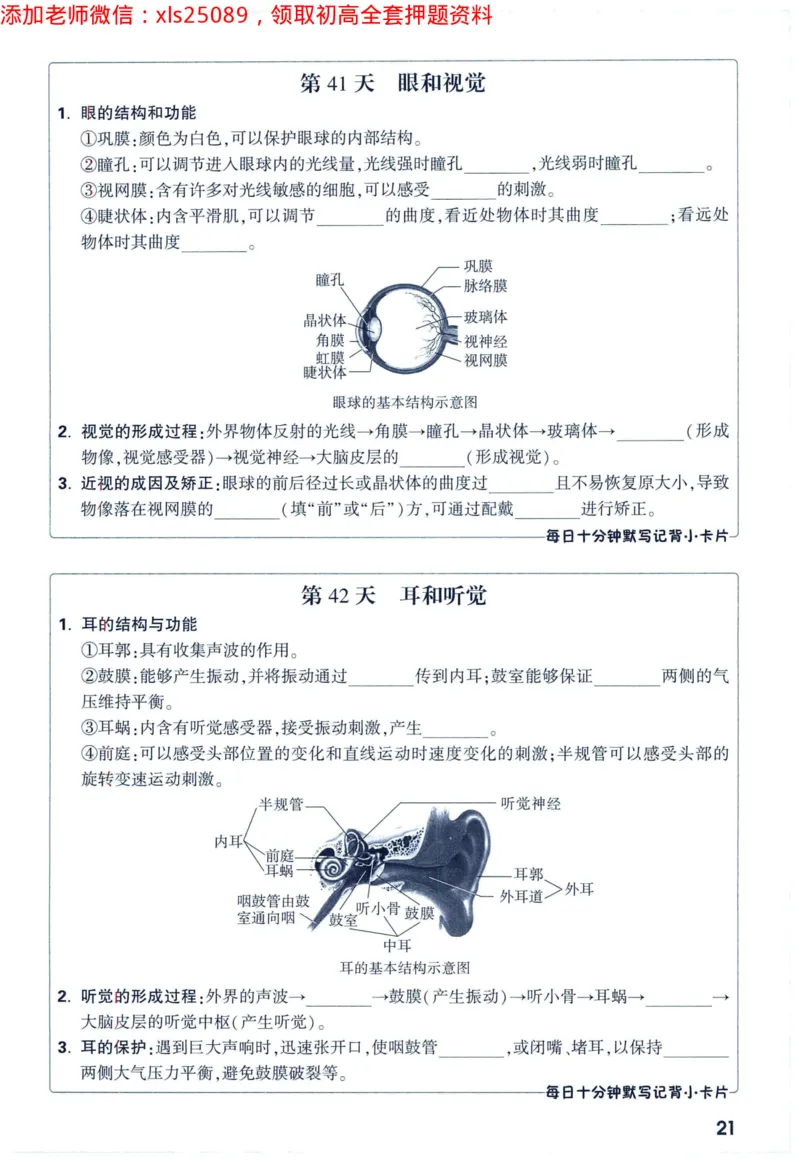 2025版《WW中考黑白卷》（FJ专版）生地预订礼-60天高频考点默写（生物学）_初中资料合集_万唯2025万唯中考《黑白卷-地生》多地版本（已更12省）_2025版《WW中考黑白卷》（FJ专版）生地