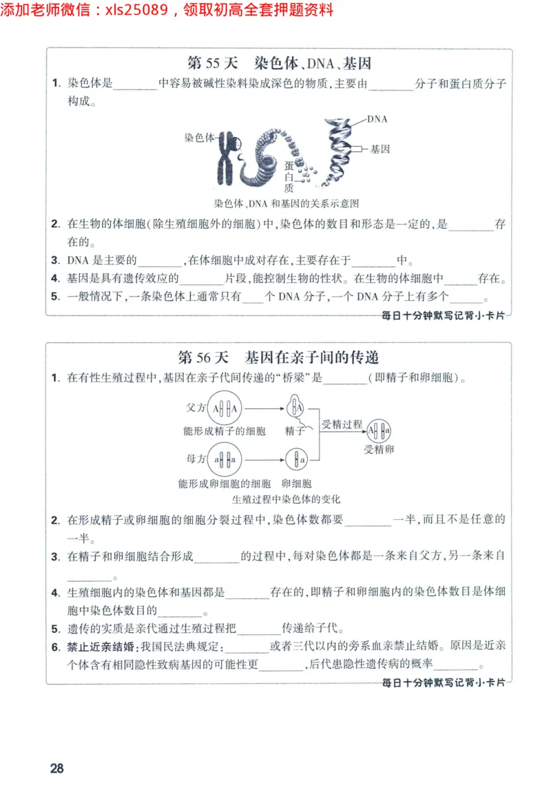 2025版《WW中考黑白卷》（FJ专版）生地预订礼-60天高频考点默写（生物学）_初中资料合集_万唯2025万唯中考《黑白卷-地生》多地版本（已更12省）_2025版《WW中考黑白卷》（FJ专版）生地
