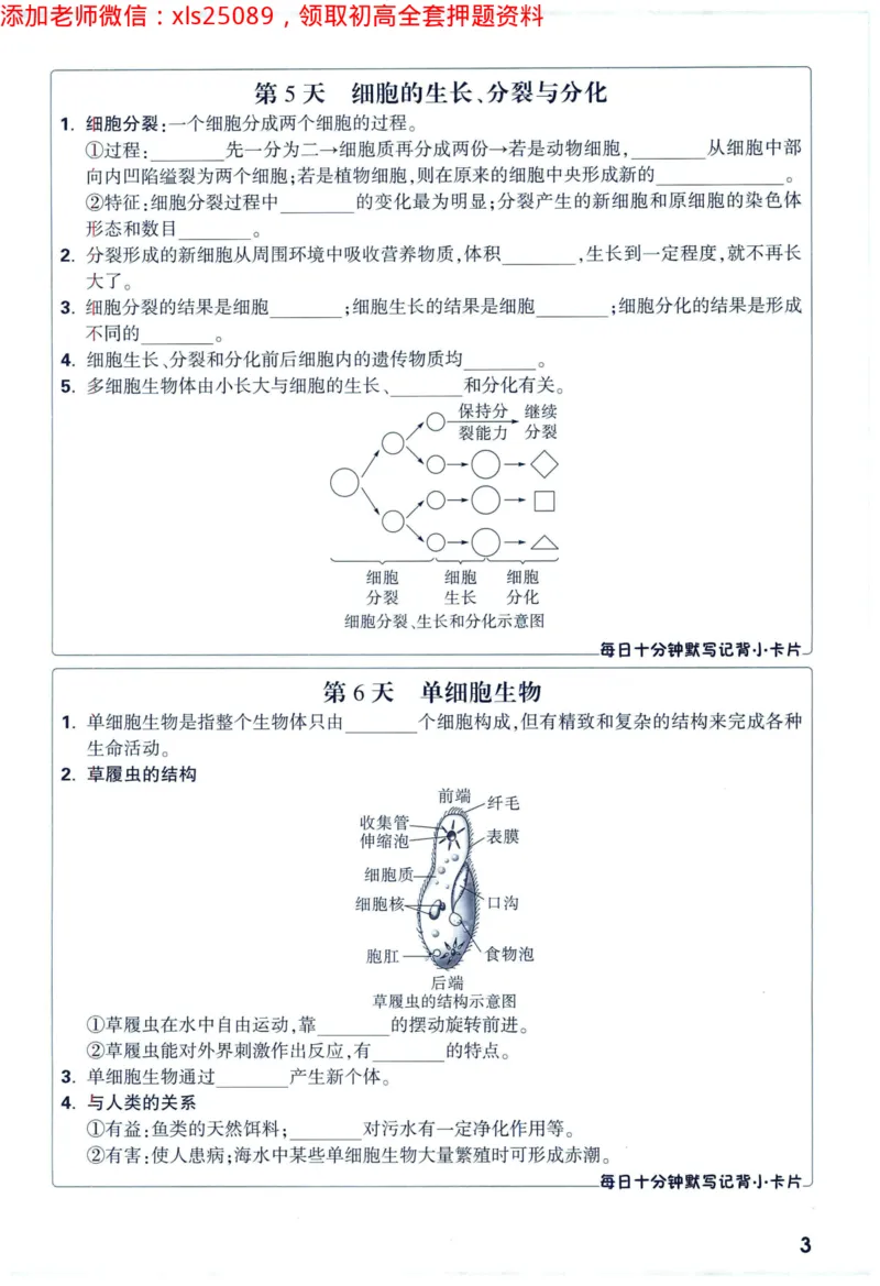 2025版《WW中考黑白卷》（FJ专版）生地预订礼-60天高频考点默写（生物学）_初中资料合集_万唯2025万唯中考《黑白卷-地生》多地版本（已更12省）_2025版《WW中考黑白卷》（FJ专版）生地
