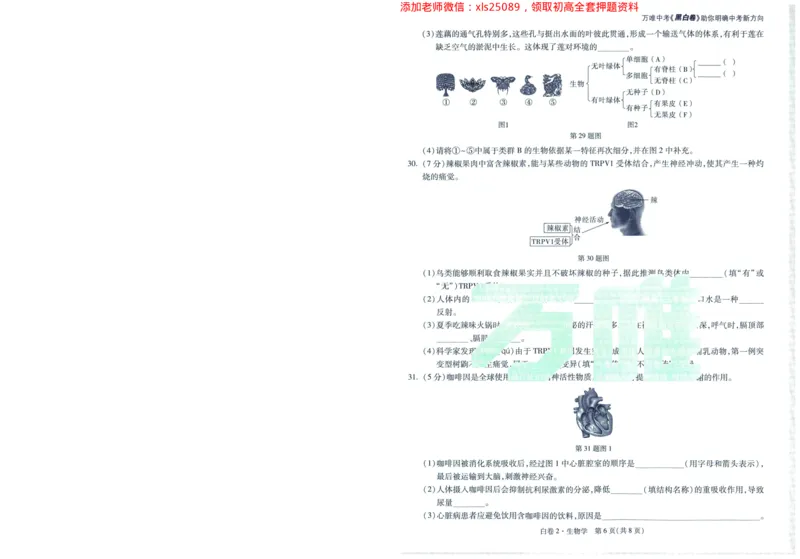 A42025版WW黑白卷生物白卷_初中资料合集_万唯2025万唯中考《黑白卷-地生》多地版本（已更12省）_2025《万唯中考&bull;黑白卷》地生（福建）_2025版《WW中考黑白卷》（FJ专版）生地
