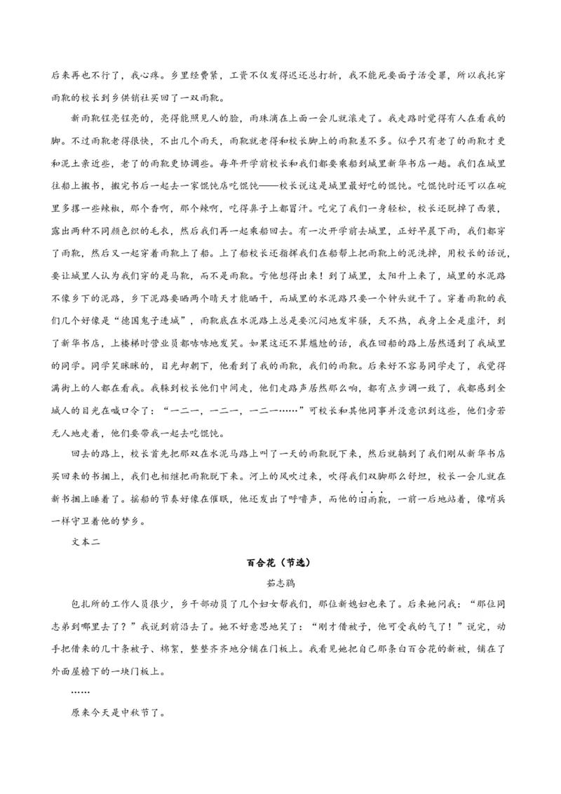 专题08小说形象的理解与分析（练习）-2024年高考语文二轮复习讲练测（新教材新高考）（原卷版）(1)_1.2025语文总复习_2024年新高考资料_2.2024二轮复习