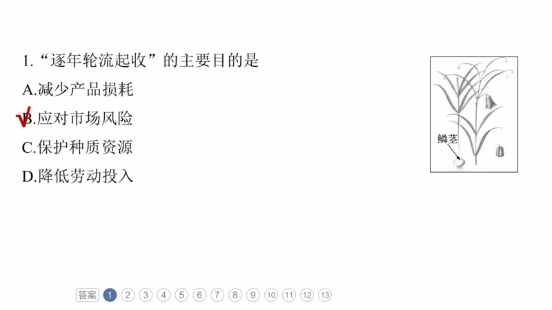 2025年高考地理二轮复习课件通用版专题5　主题10　产业发展_9.2025地理总复习_2025年新高考资料_二轮复习_2025年高考地理二轮复习课件全国通用（ppt+pdf资源）